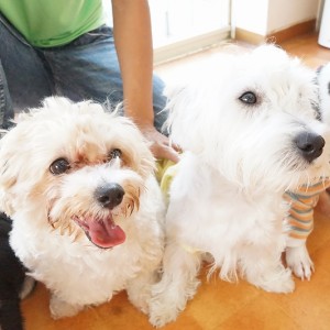 授業の様子♪ 81