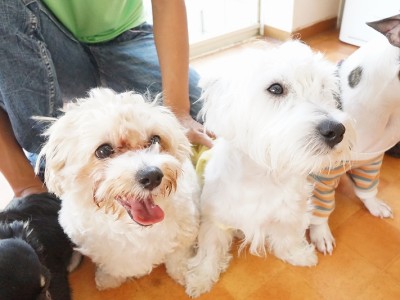 授業の様子♪ 81のサムネイル