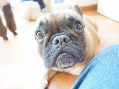 今までの思い出 【96】のサムネイル