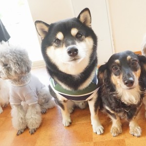 授業の様子♪ 86