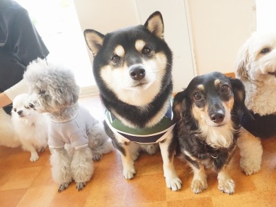 授業の様子♪ 86のサムネイル