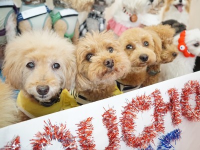 授業の様子♪ 82のサムネイル