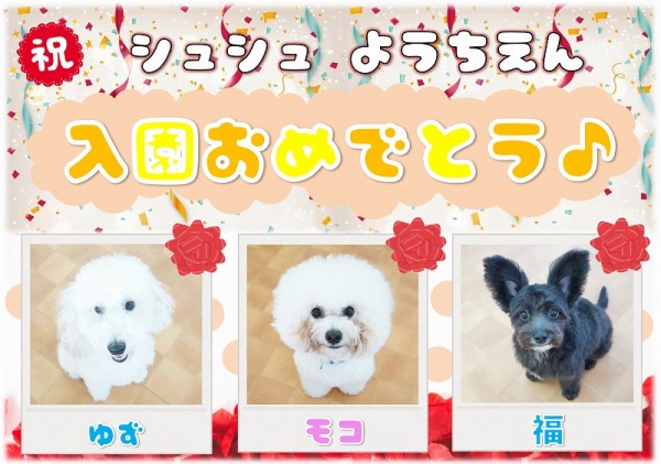 幼稚園新入生のお知らせ ~Vol.102~