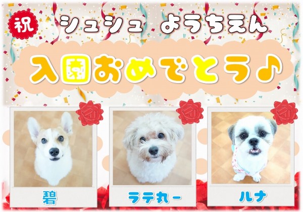 幼稚園新入生のお知らせ ~Vol.100~