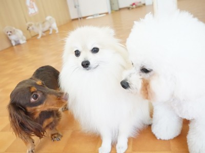 今までの思い出 【95】のサムネイル