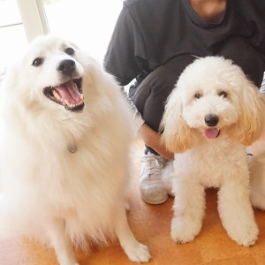 授業の様子♪ 87