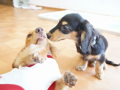 今までの思い出 【96】のサムネイル