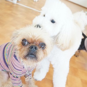 今までの思い出 【96】