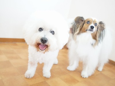 今までの思い出 【95】のサムネイル