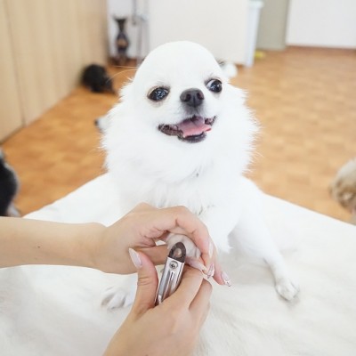 授業の様子♪ 85