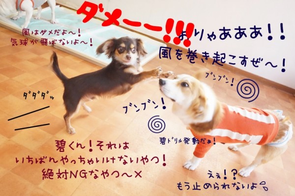 旅行は刺激がいっぱいだぁ！！