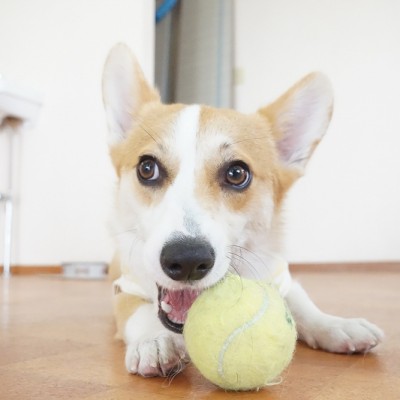 授業の様子♪ 81