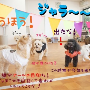 全力でゴールまで駆け抜けろ！！