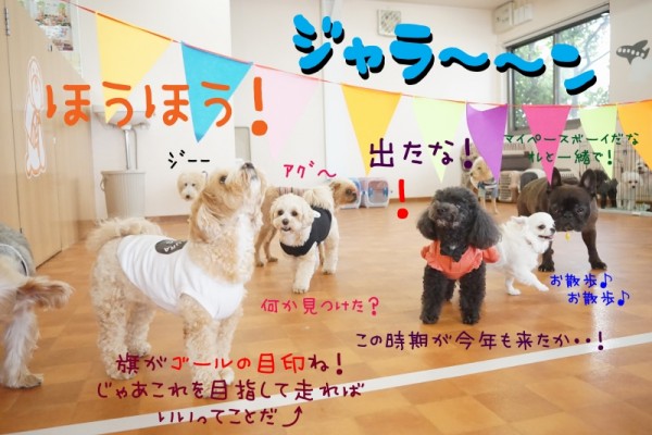 全力でゴールまで駆け抜けろ！！