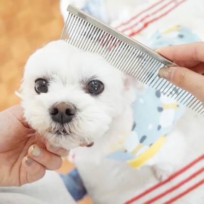 授業の様子♪ 89