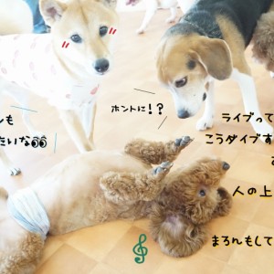 お出かけも大事☆彡