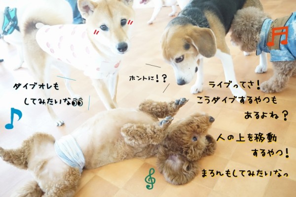 お出かけも大事☆彡