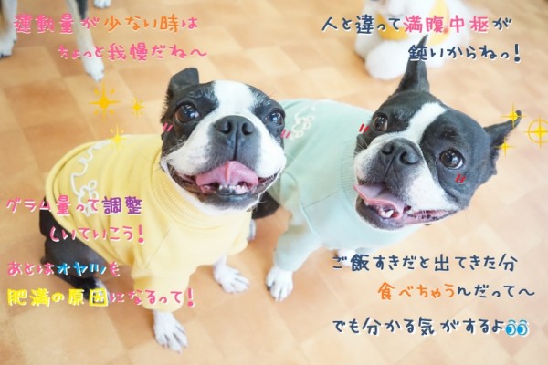 お手入れを毎日の日課に！