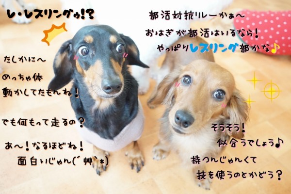 本日の一位は誰かな？