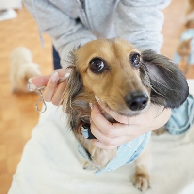 授業の様子♪ 86