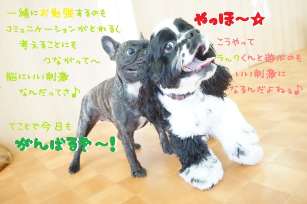 いい刺激を受けよう♪