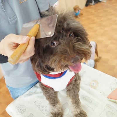 授業の様子♪ 84