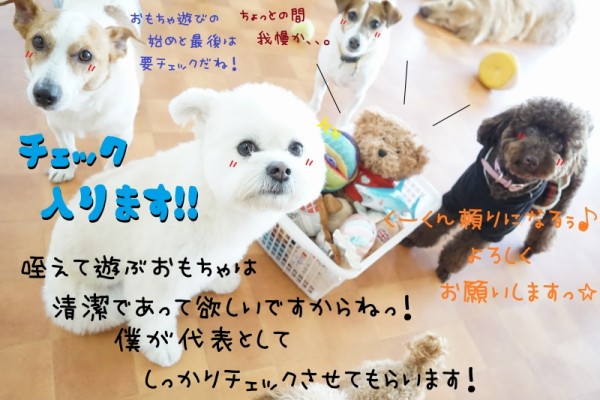 おもちゃのお手入れも忘れずに！