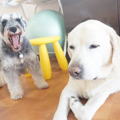 今までの思い出 【96】