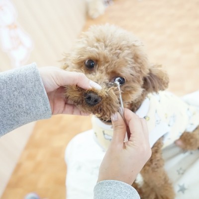 授業の様子♪ 91