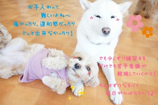 お手入れの重要さを知ろう☆