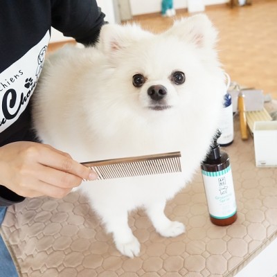 授業の様子♪ 87