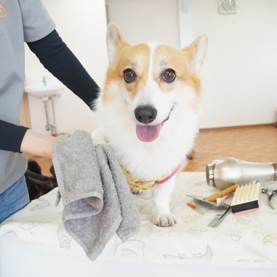 授業の様子♪ 83