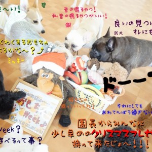 わくわくする物を見つけよう！