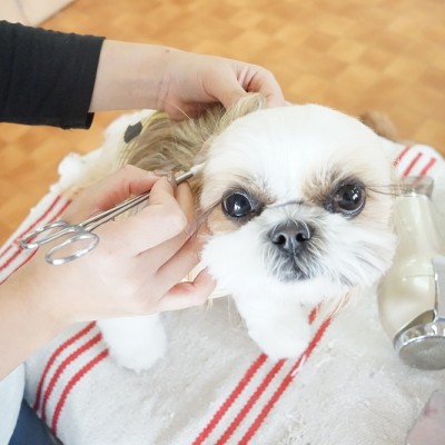 授業の様子♪ 88