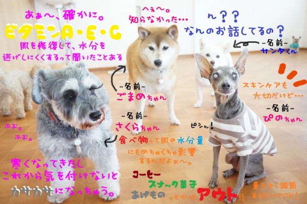 寒くなってきてもお手入れは大切！！