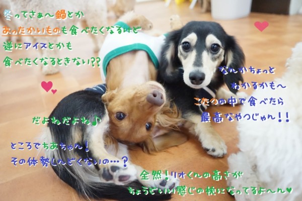 お手入れを頑張ろう☆彡