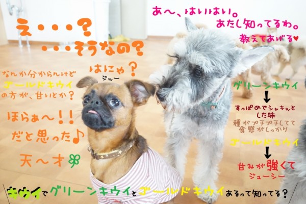 お手入れWEEK～木曜日～