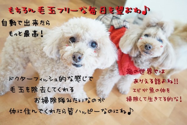 お手入れ以外にも気を付けること✨