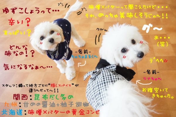 寒くなってきたらやっぱり・・・