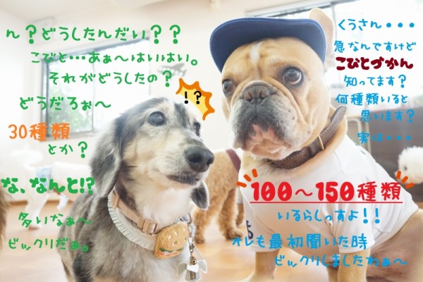 刺激たっぷりな一日💣