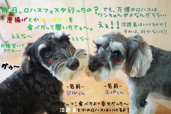 ✨休日のお出掛け✨