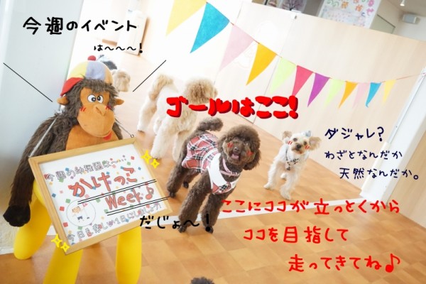 秋にピッタリのイベント🐕
