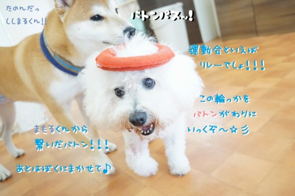 よ～いドン！でスタート☆彡