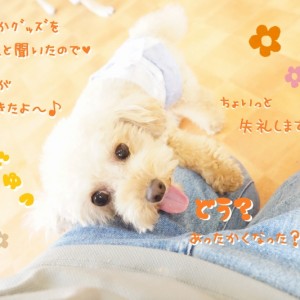 かけっこWeek最終日⭐