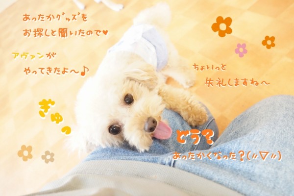 かけっこWeek最終日⭐