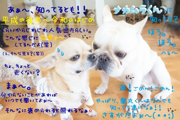 ゆるかわの沼に落ちました・・・