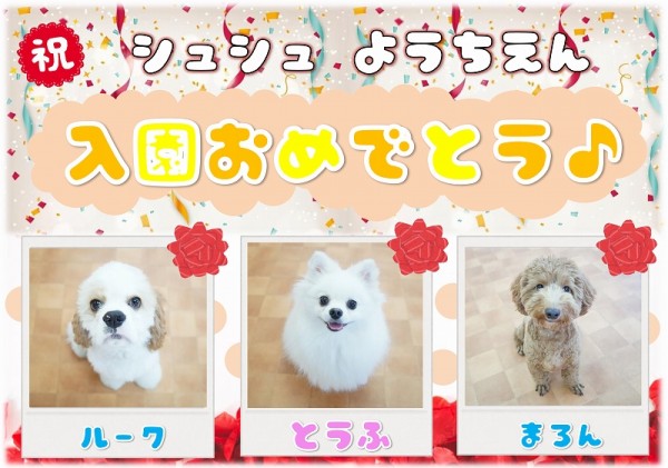 幼稚園新入生のお知らせ ~Vol.104~