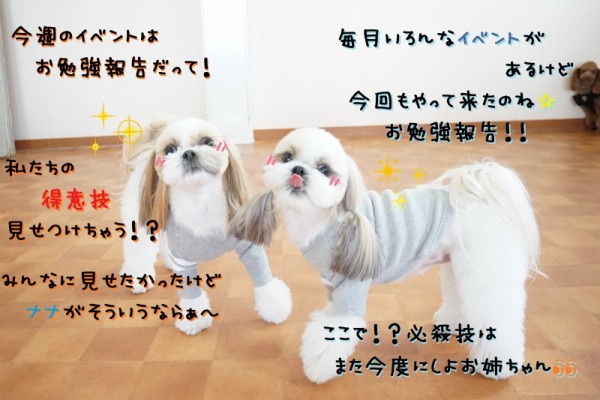 お勉強報告Weekスタート！！