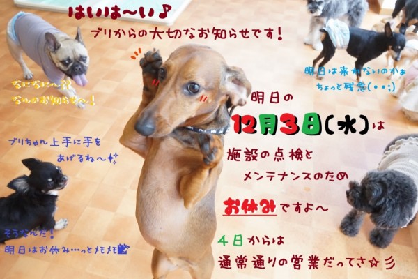 お勉強も頑張るぞ～🔥