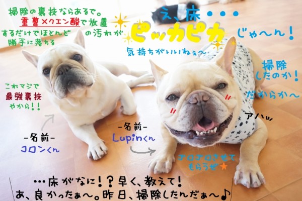 掃除してスッキリ爽快✨